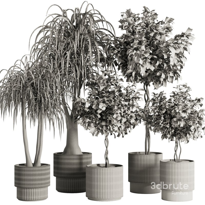 Indoor Plant Set49 Image 3