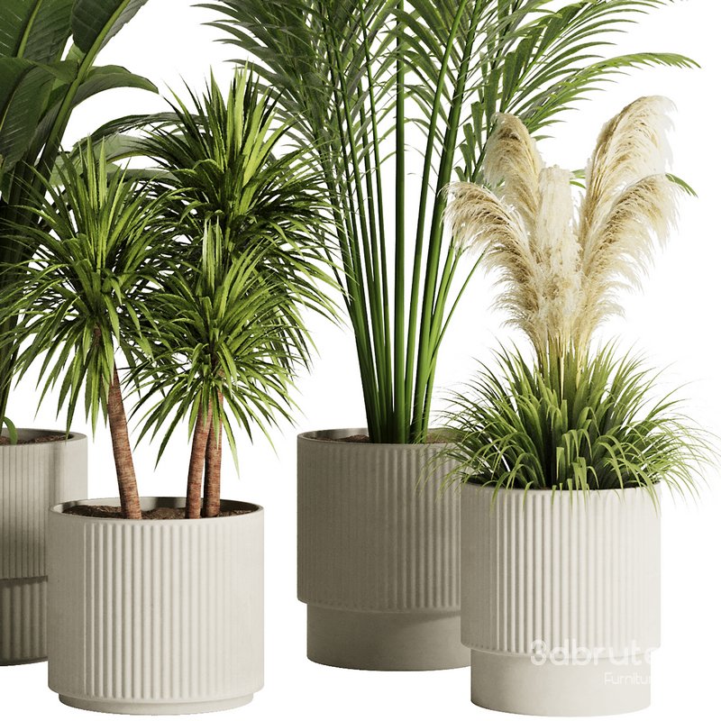 Indoor Plant Set50 Image 3