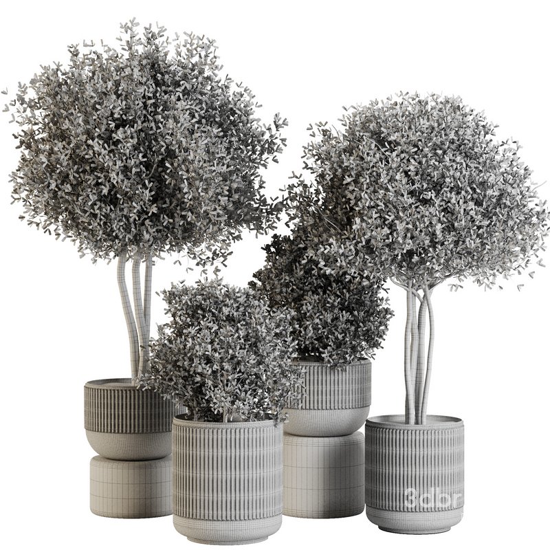 Indoor Plant Set43 Image 4