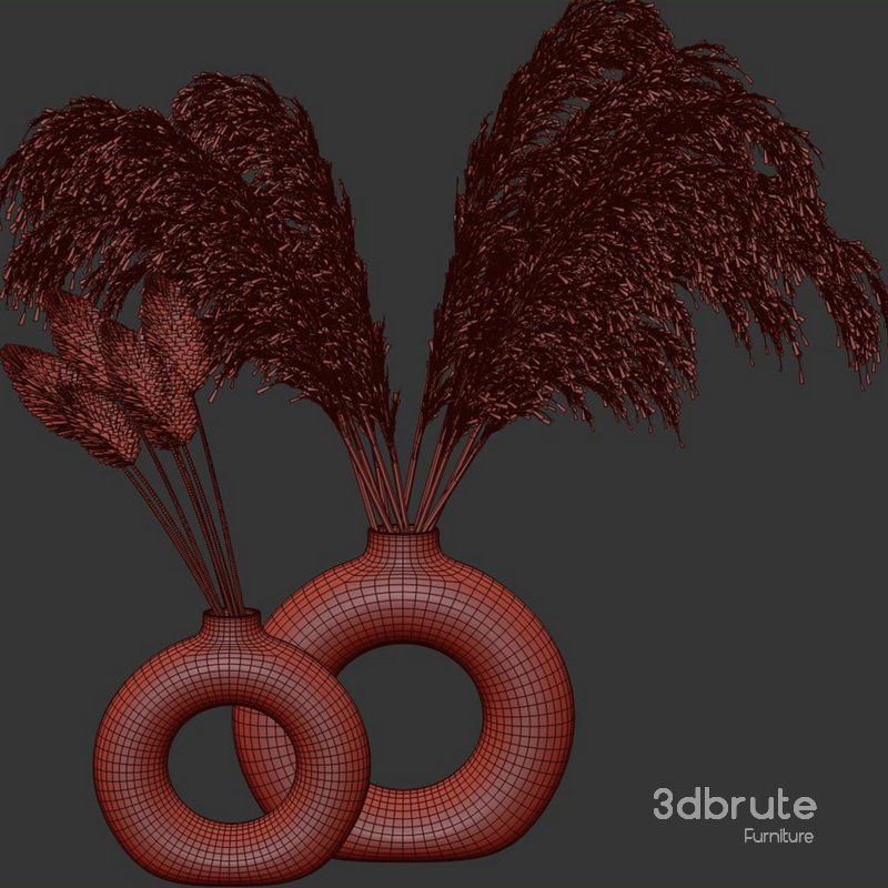 Indoor Plant Pampas Set2 Image 3