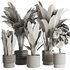 Indoor Plant Set45 - Thumbnail 5