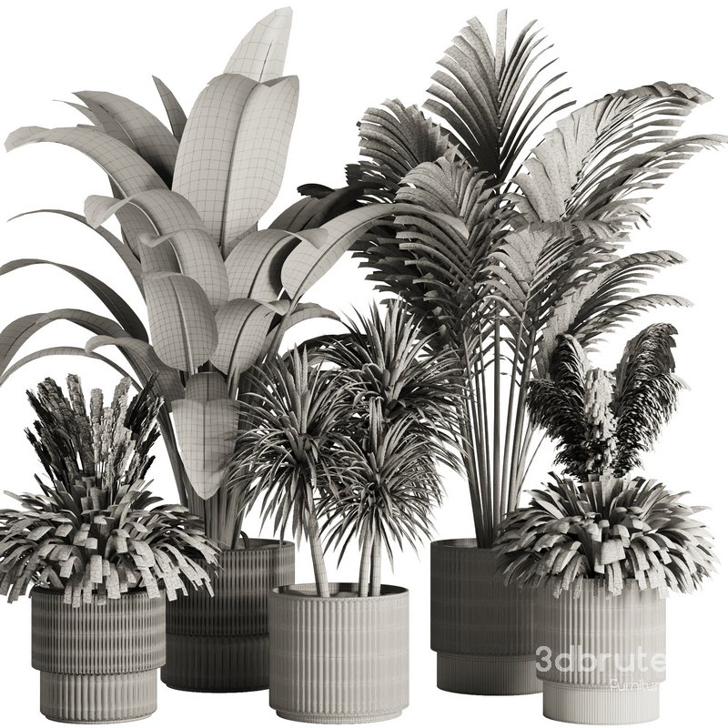 Indoor Plant Set50 Image 5