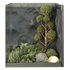 HQ Plants Indoor Set Box Glass03 - Thumbnail 1