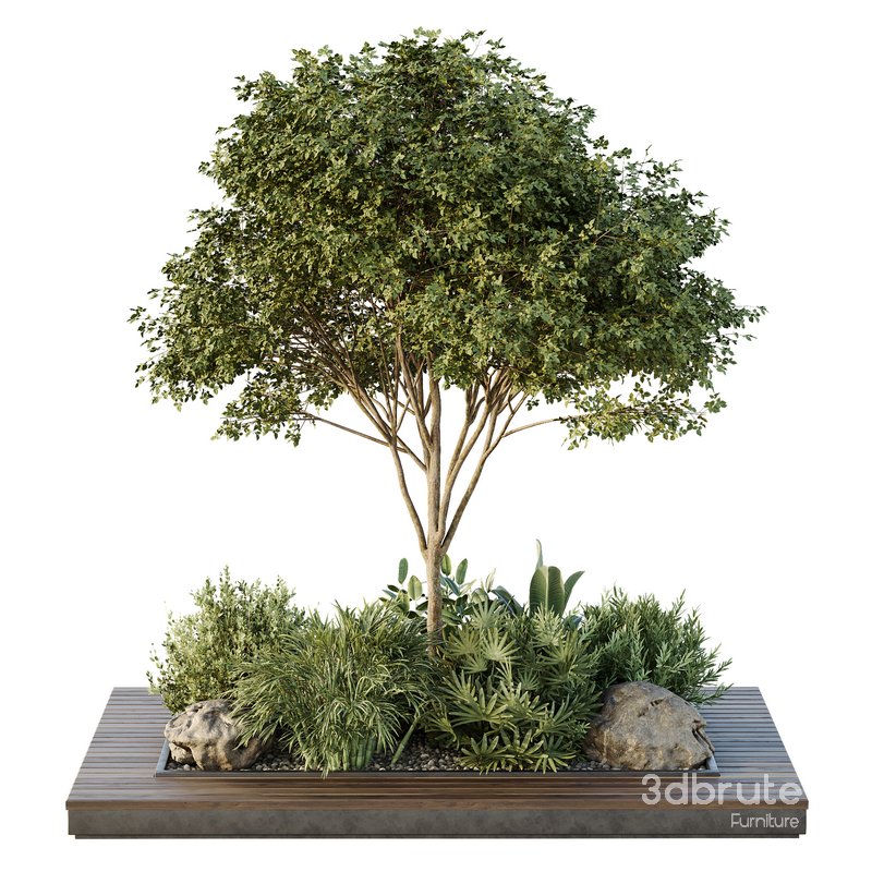 HQ Tree and bush garden box outdoor VOL 37 Image 2