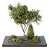 HQ Tree and bush garden box outdoor VOL 43 - Thumbnail 2