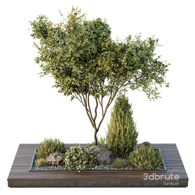 HQ Tree and bush garden box outdoor VOL 43 Image 2