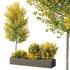 HQ Tree and bush garden box outdoor VOL 42 - Thumbnail 1