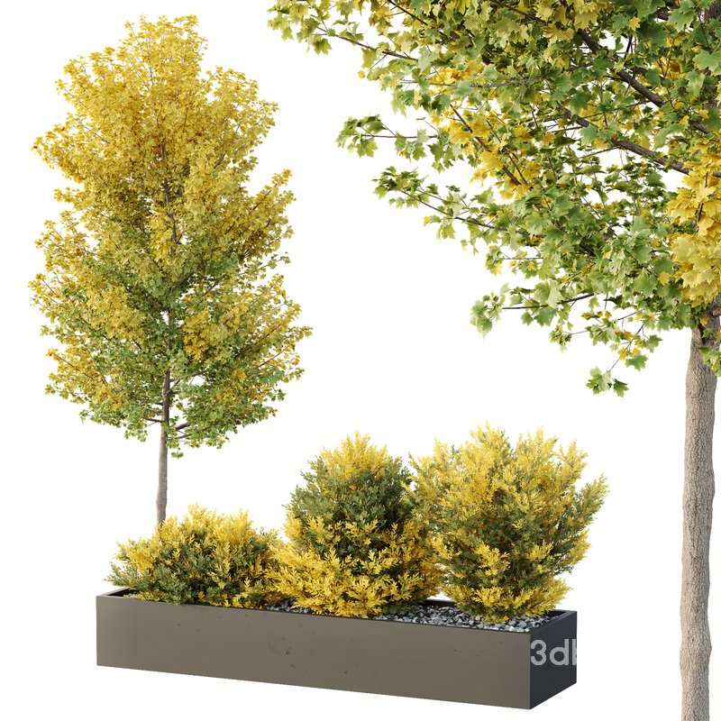 HQ Tree and bush garden box outdoor VOL 42 Image 1