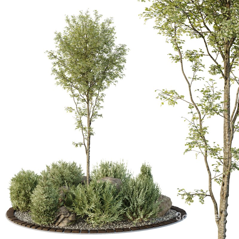 HQ Tree and bush garden box outdoor VOL 40 Image 1