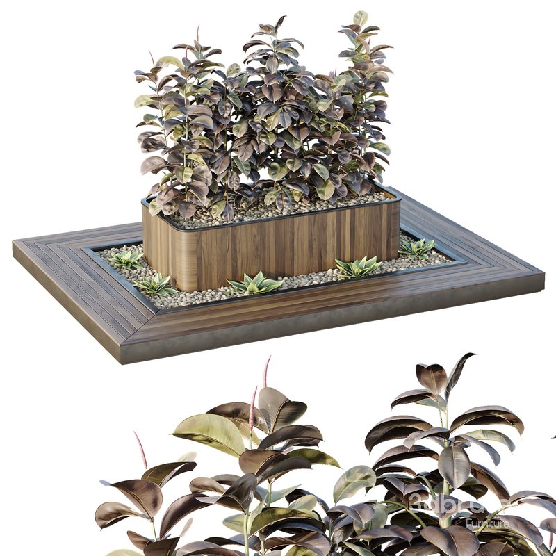 HQ Tree and bush garden box outdoor VOL 33 Image 1