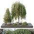 HQ Tree and bush garden box outdoor VOL 36 - Thumbnail 2