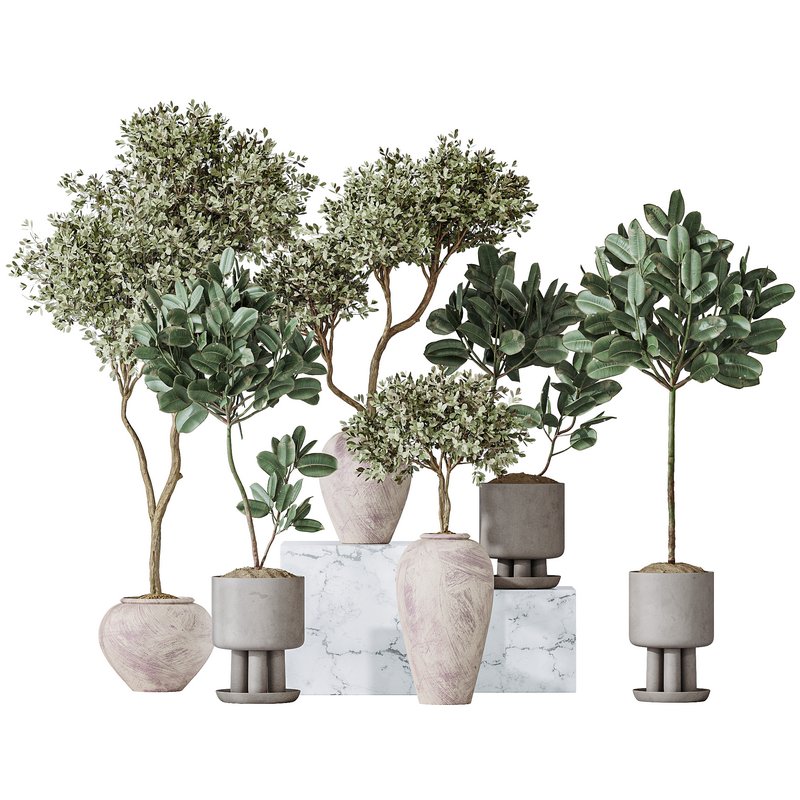 Elastica Abidjan Melany and Mission Olive Tree Vase 18 Image 2