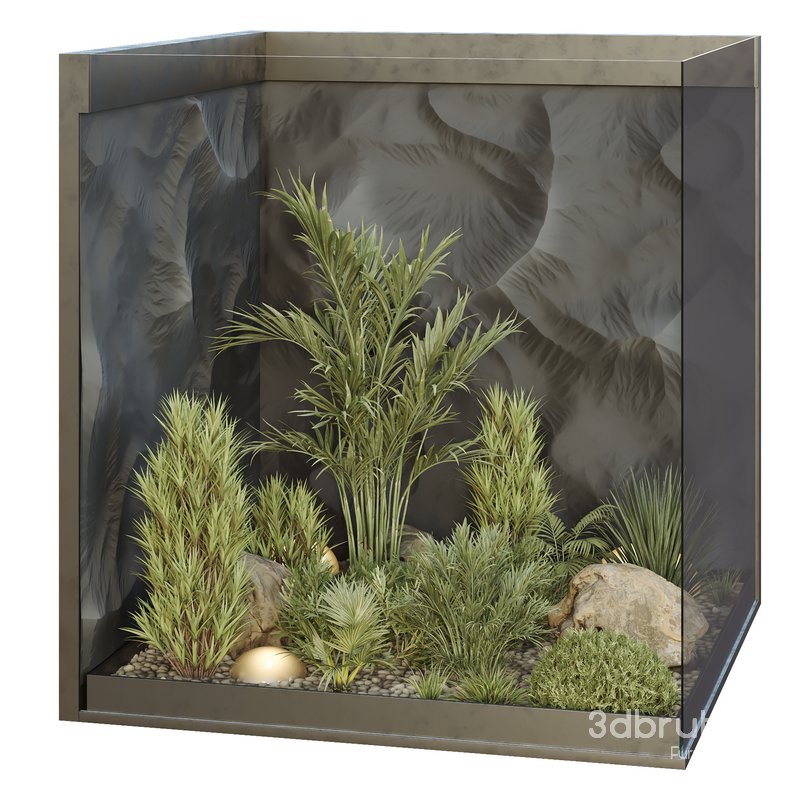 HQ Plants Indoor Set Box Glass02 Image 1