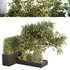 HQ Tree and bush garden box outdoor VOL 34 - Thumbnail 1