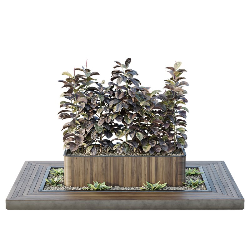 HQ Tree and bush garden box outdoor VOL 33 Image 3