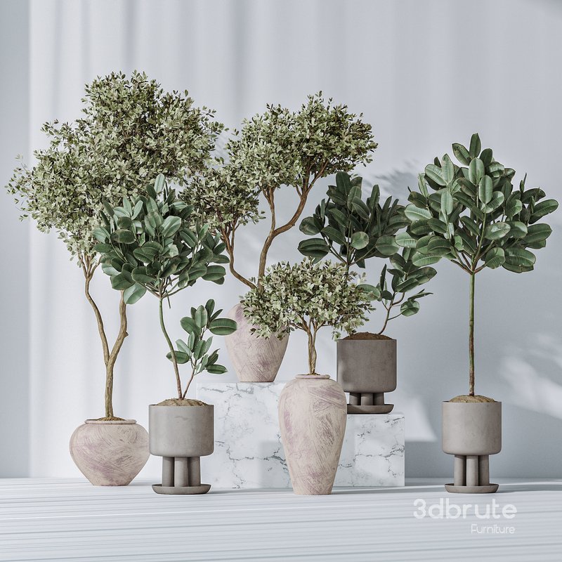 Elastica Abidjan Melany and Mission Olive Tree Vase 18 Image 1