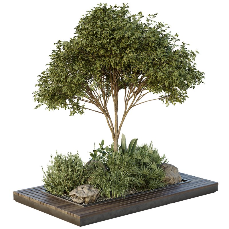 HQ Tree and bush garden box outdoor VOL 37 Image 1