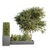 HQ Tree and bush garden box outdoor VOL 34 - Thumbnail 2