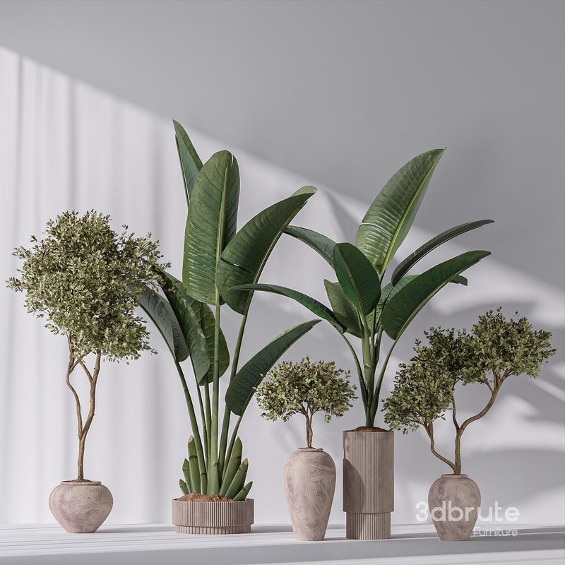 Bird Of Paradise Bird and Olive Tree Indoor Vase 11 Image 3