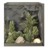 HQ Plants Indoor Set Box Glass02 - Thumbnail 2