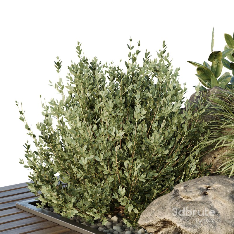 HQ Tree and bush garden box outdoor VOL 37 Image 3
