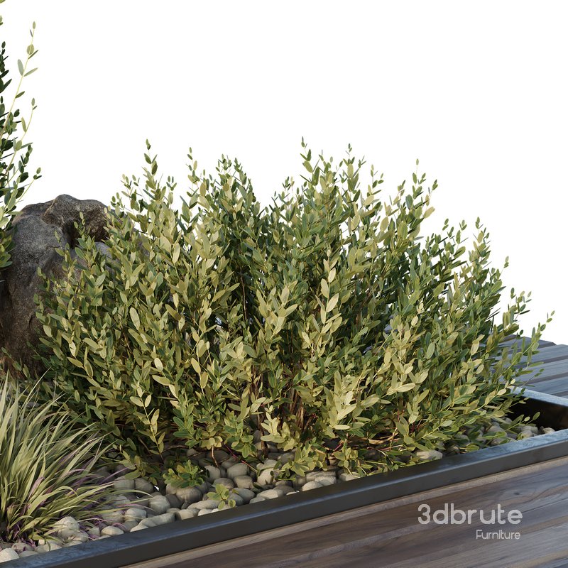 HQ Tree and bush garden box outdoor VOL 43 Image 3