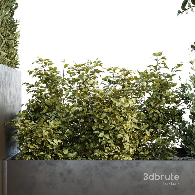 HQ Tree and bush garden box outdoor VOL 34 Image 3