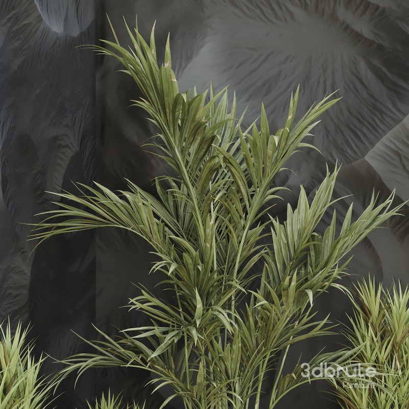 HQ Plants Indoor Set Box Glass02 Image 3