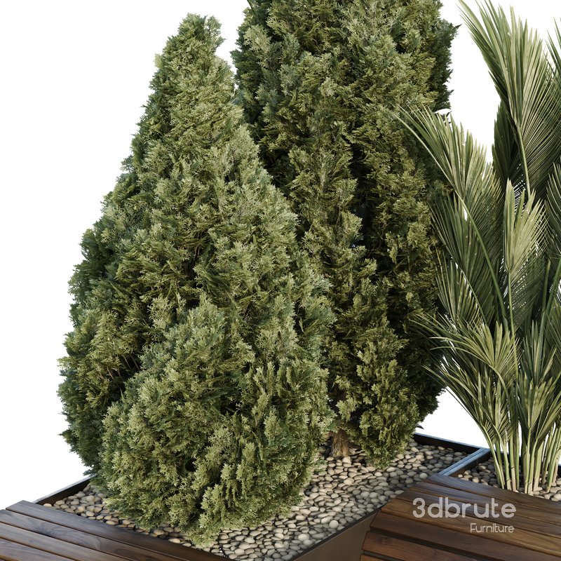 HQ Tree and bush garden box outdoor VOL 39 Image 3