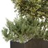HQ Urban environment set of green plant benches 18 - Thumbnail 4