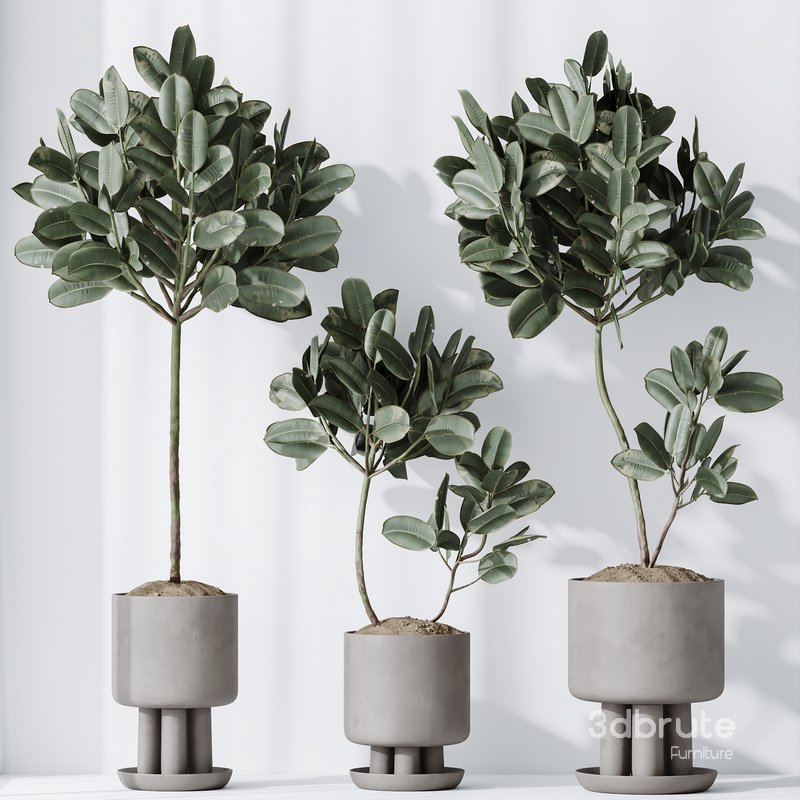 Elastica Abidjan Melany and Mission Olive Tree Vase 18 Image 3