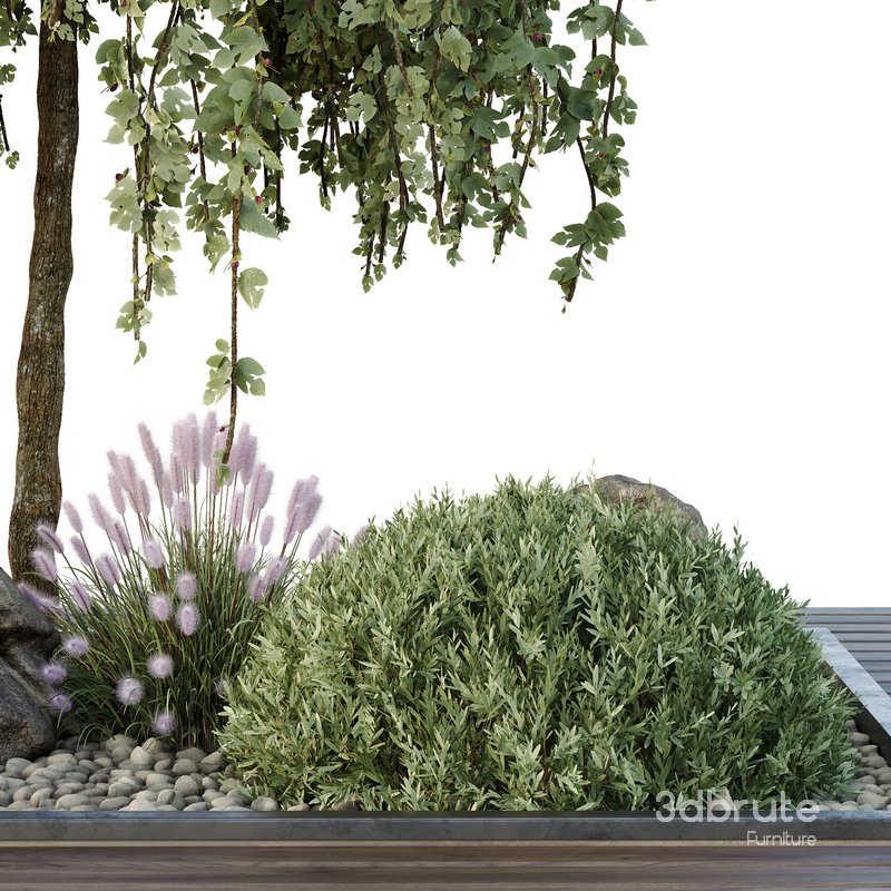 HQ Tree and bush garden box outdoor VOL 36 Image 3