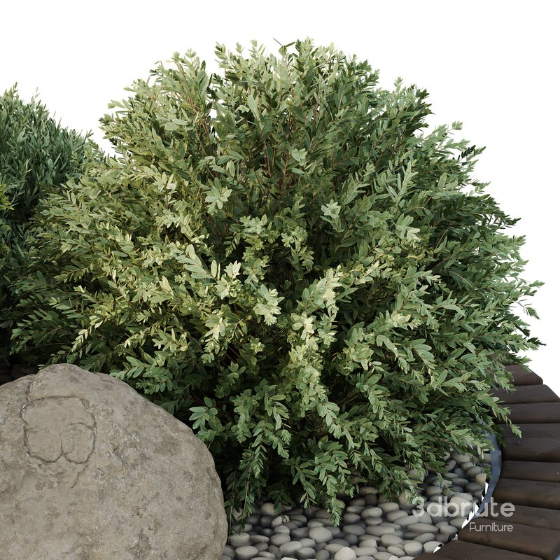 HQ Tree and bush garden box outdoor VOL 41 Image 3