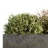 HQ Urban environment set of green plant benches 11 - Thumbnail 3