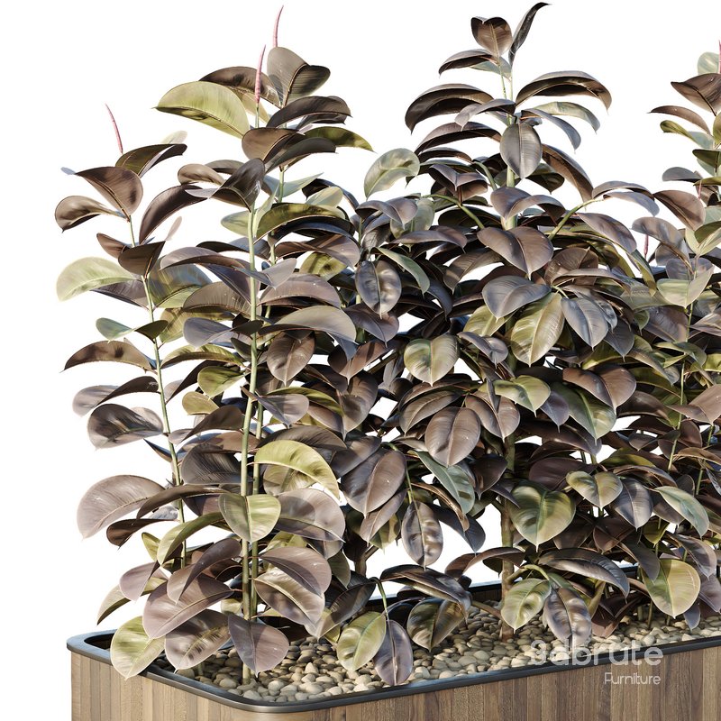 HQ Tree and bush garden box outdoor VOL 33 Image 4