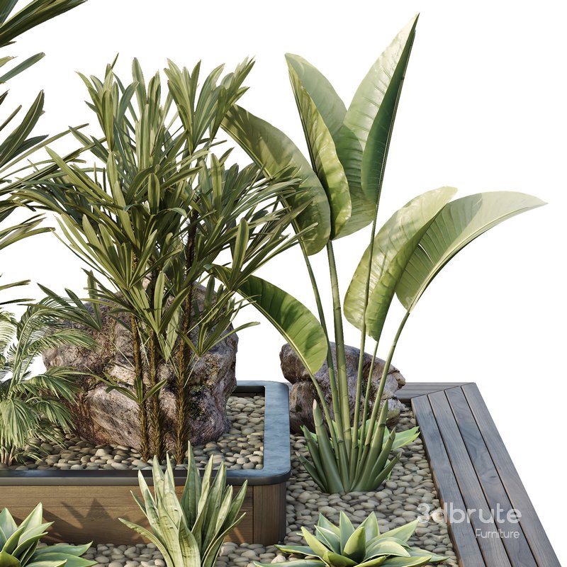 HQ Tree and bush garden box outdoor VOL 31 Image 3