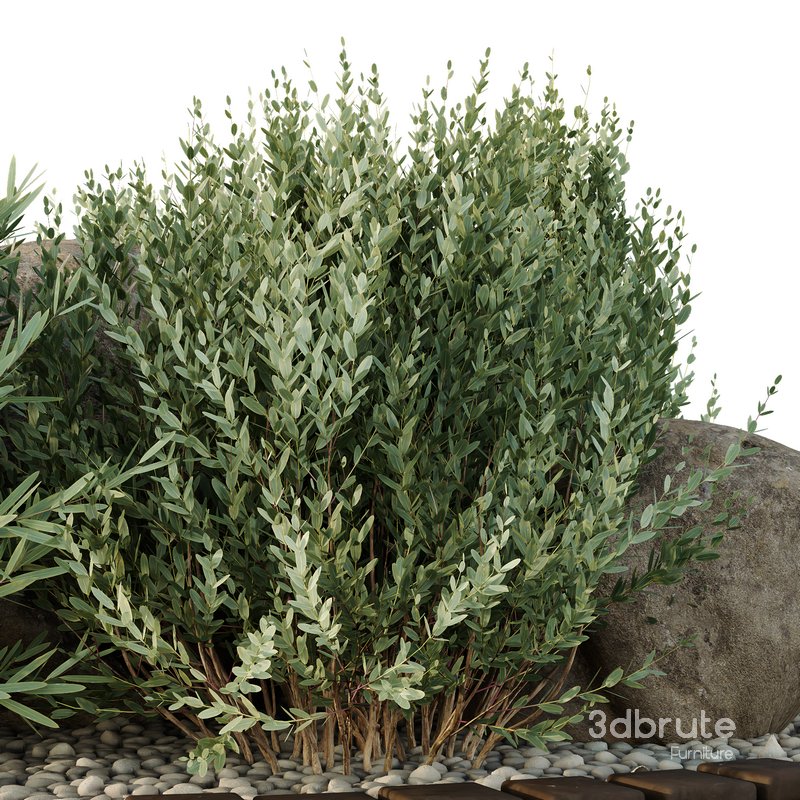 HQ Tree and bush garden box outdoor VOL 40 Image 3