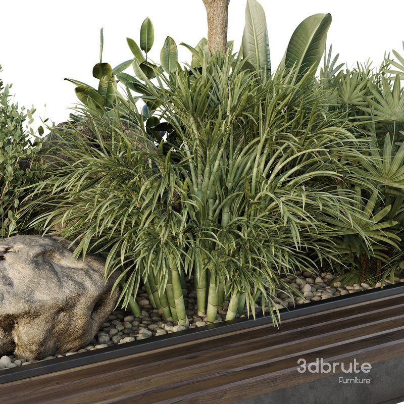 HQ Tree and bush garden box outdoor VOL 37 Image 4