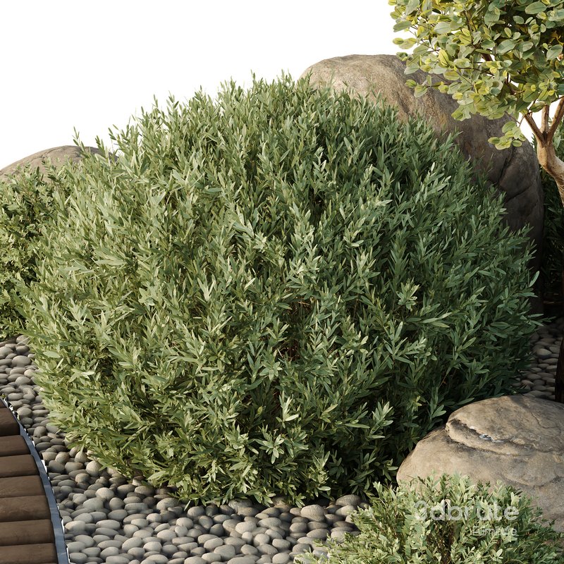 HQ Tree and bush garden box outdoor VOL 41 Image 4