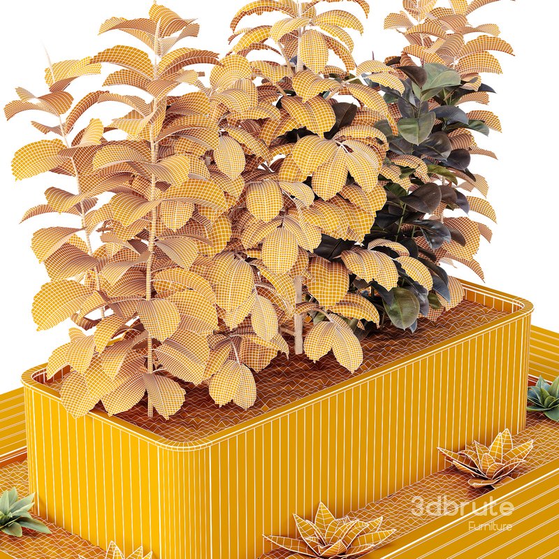 HQ Tree and bush garden box outdoor VOL 33 Image 5