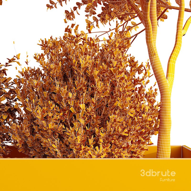 HQ Tree and bush garden box outdoor VOL 34 Image 5