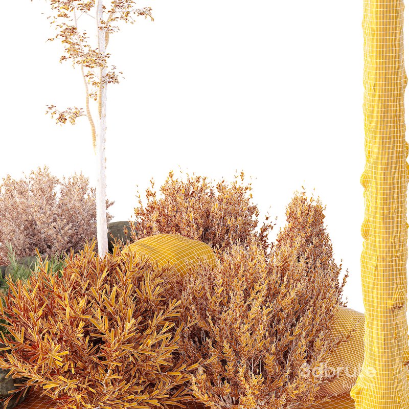 HQ Tree and bush garden box outdoor VOL 40 Image 4