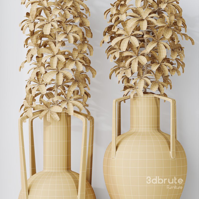 HQ HousePlants Schefflera Arboricola Umbrella Set04 Image 5