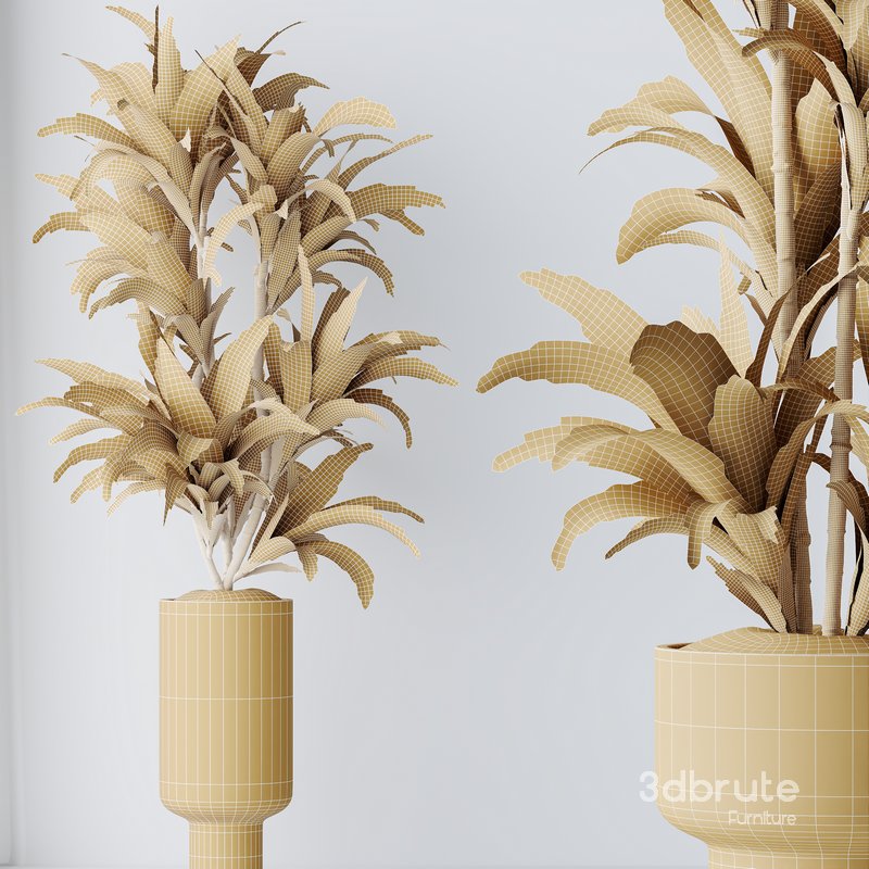 HQ HousePlants Dracaena Warneckii Lemon Lime Cane Dragon Set05 Image 5