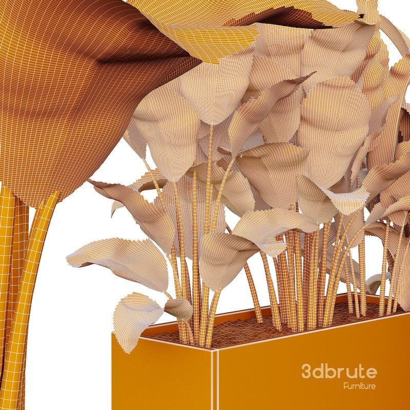 HQ Tree and bush garden box outdoor VOL 38 Image 5