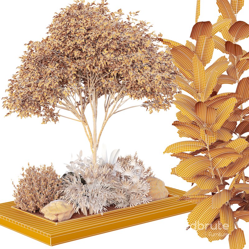 HQ Tree and bush garden box outdoor VOL 37 Image 5