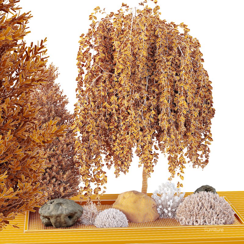 HQ Tree and bush garden box outdoor VOL 36 Image 5