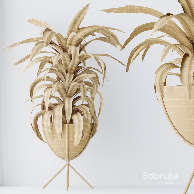 HQ HousePlants Dracaena Warneckii Lemon Lime Cane Dragon Image 6