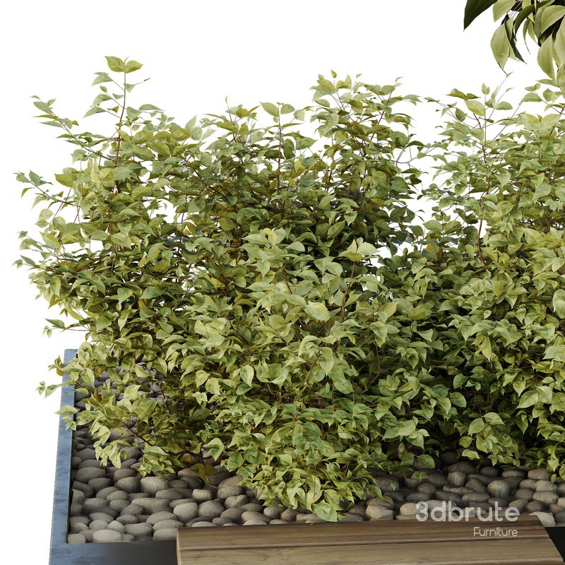 HQ Tree and bush garden box outdoor VOL 34 Image 6