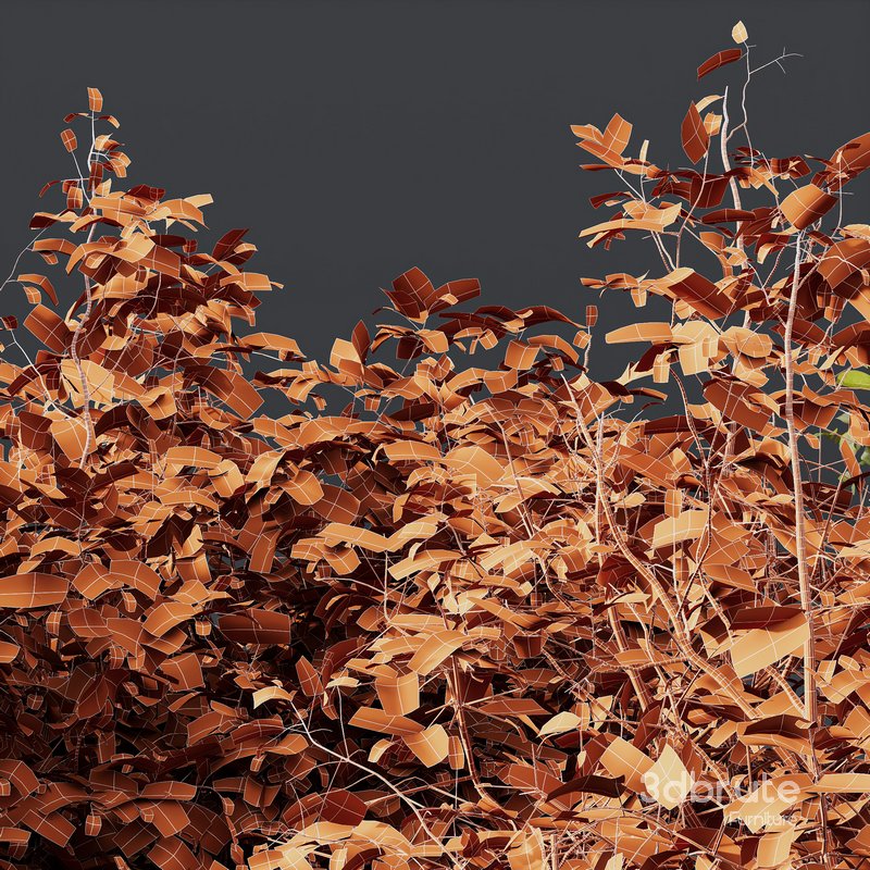 8 different autumn plants Image 6